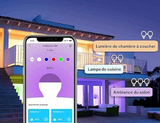Ampoule Connectée TP-Link Tapo Smart L530B - vue 5