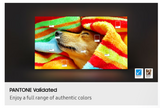 TV Samsung 65" OLED 4K Vision AI 65S85F (S85F) - vue 7